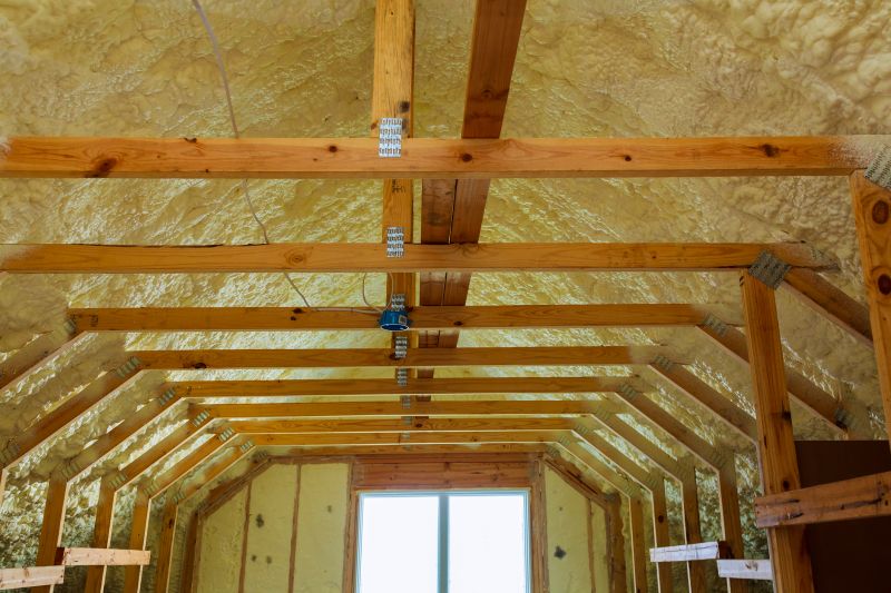 Interior Insulation Service in Bastrop, TX